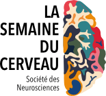 Logo semaine du cerveau - neurosciences